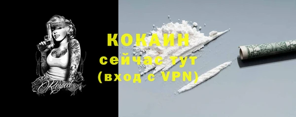хмурый Бородино