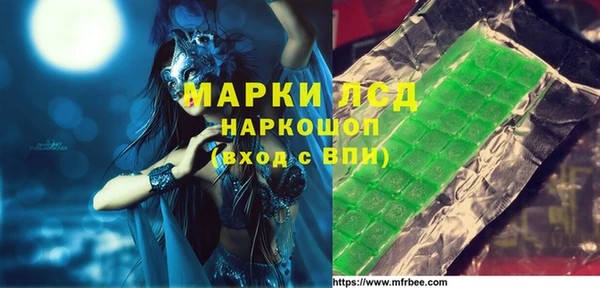 хмурый Бородино