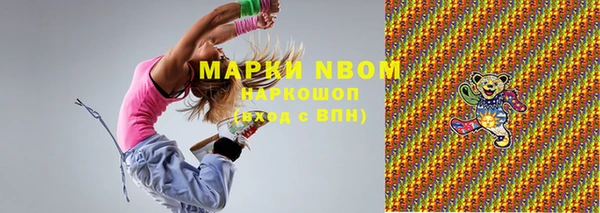 хмурый Бородино