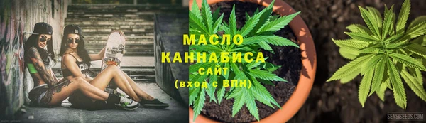 хмурый Бородино