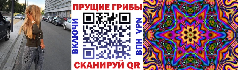 Псилоцибиновые грибы Cubensis  Купить  Харовск 